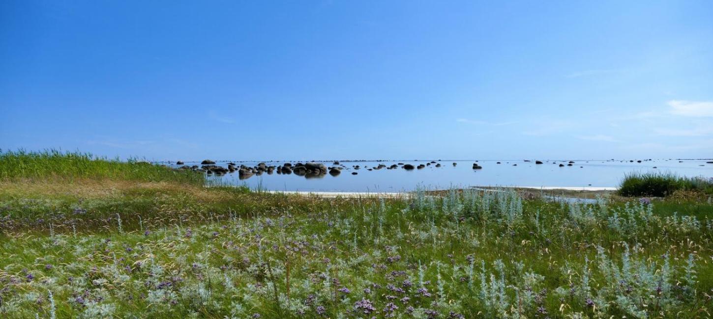 Læsø