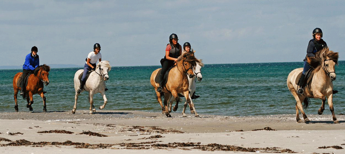 Ridning på stranden