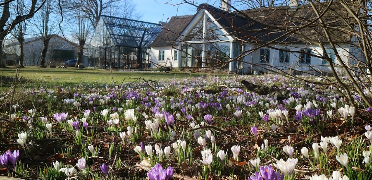 Påsken på Læsø - set fra Østergaard Kultur B&B
