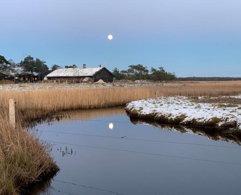 Læsø Saltsyderi tilbyder Julesalt hvert år