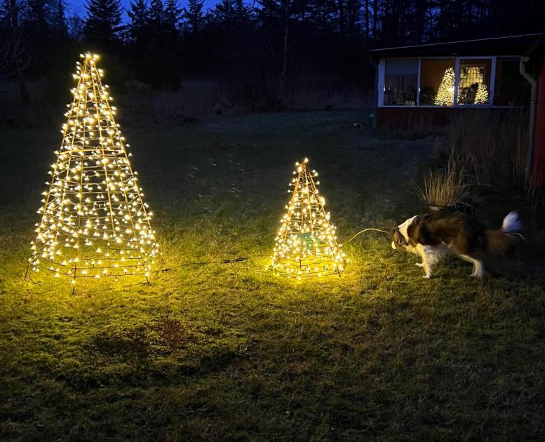 Ægirs juletræer julemarked